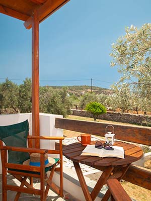 Veranda with garden view