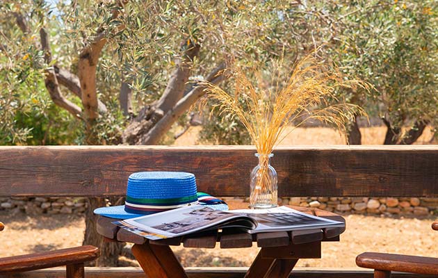 Balcony with garden view