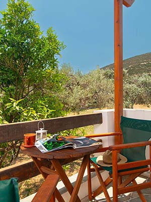 Balcony with garden view
