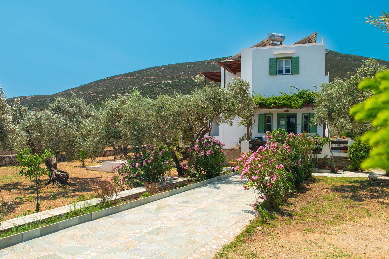 Madilides studios και διαμερίσματα στη Σίφνο